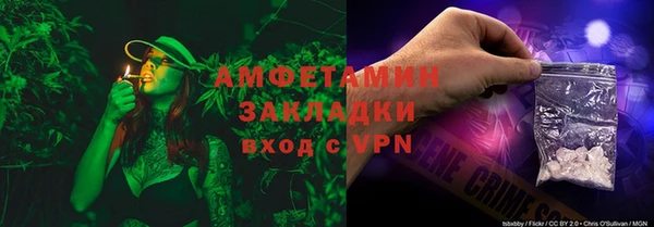 индика Козельск