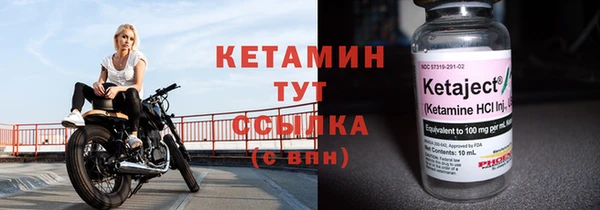 стафф Корсаков