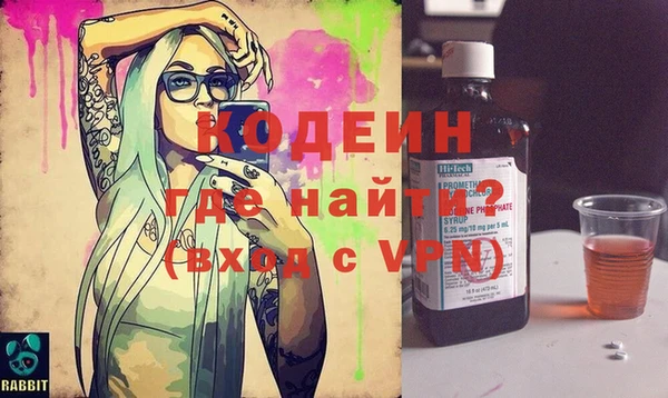 индика Козельск