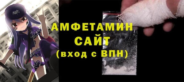индика Козельск