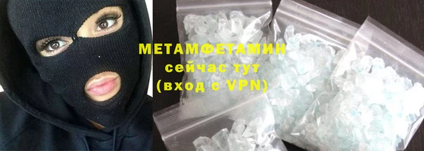 индика Козельск