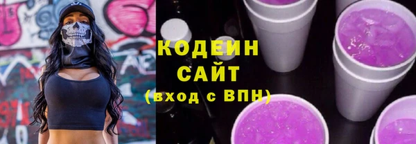индика Козельск