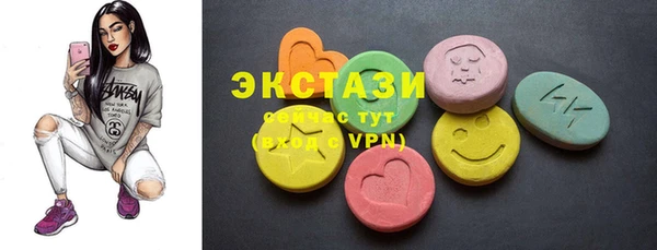 индика Козельск