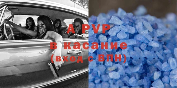 индика Козельск