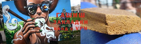 индика Козельск