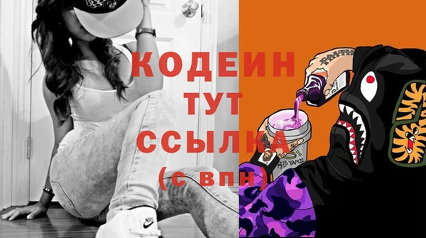 стафф Корсаков