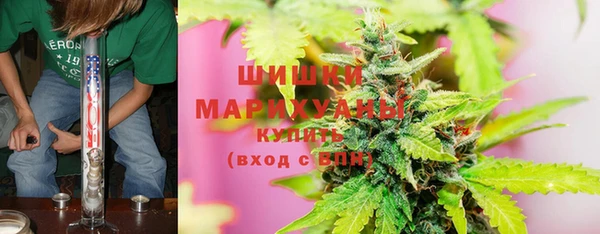 дживик Козловка