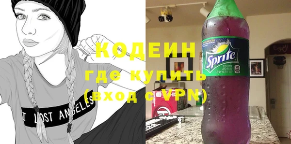 индика Козельск