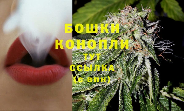 дживик Козловка