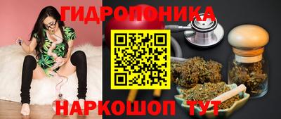 дмт Моздок