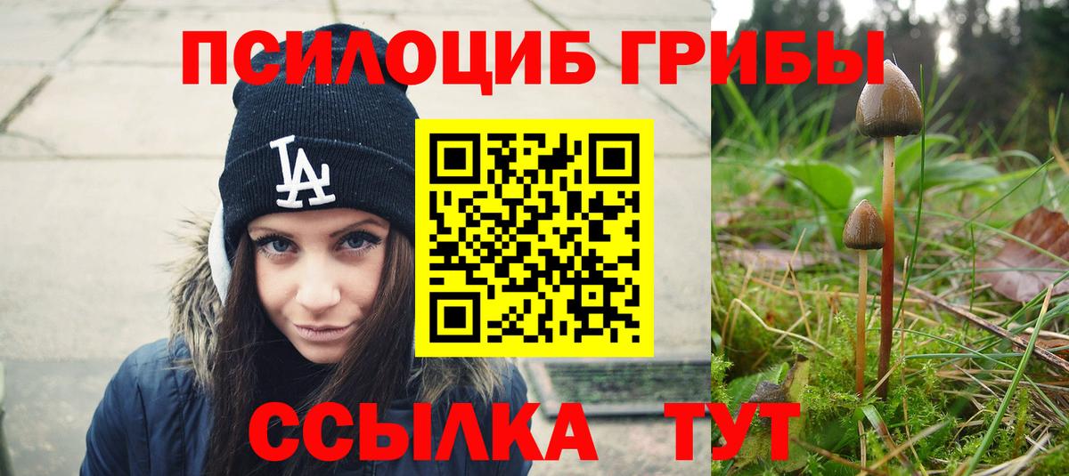 Кохма  Галлюциногенные грибы Psilocybe  Вход с VPN 