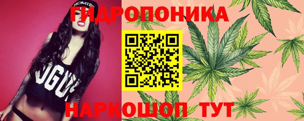 Марихуана White Widow  Марихуана THC 21%  Бошки марихуана гибрид  Вход с VPN  Кохма 